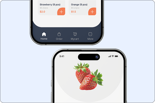 Grocery E-commerce App